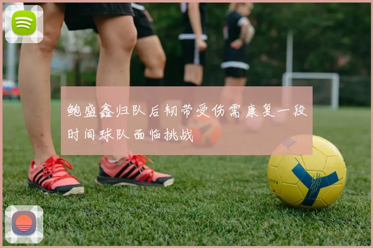 鲍盛鑫归队后韧带受伤需康复一段时间球队面临挑战